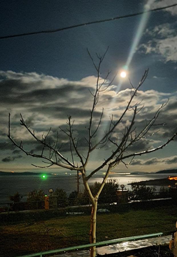 Mordoğan taş konakta doğa ve deniz tatili Villa Karaburun  Dış mekan fotoğraf